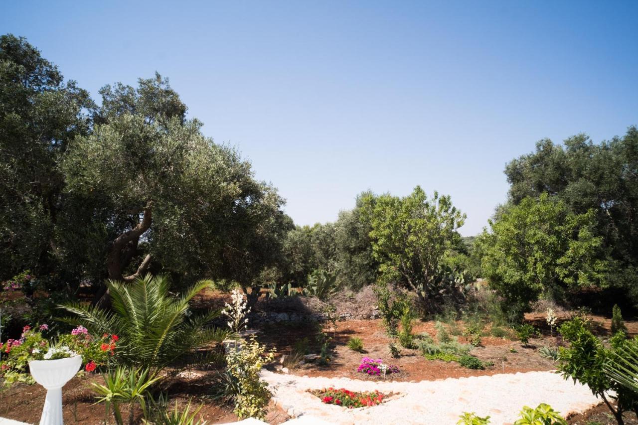 Freeman Ostuni